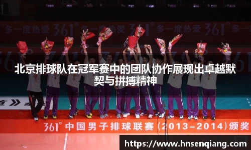 北京排球队在冠军赛中的团队协作展现出卓越默契与拼搏精神